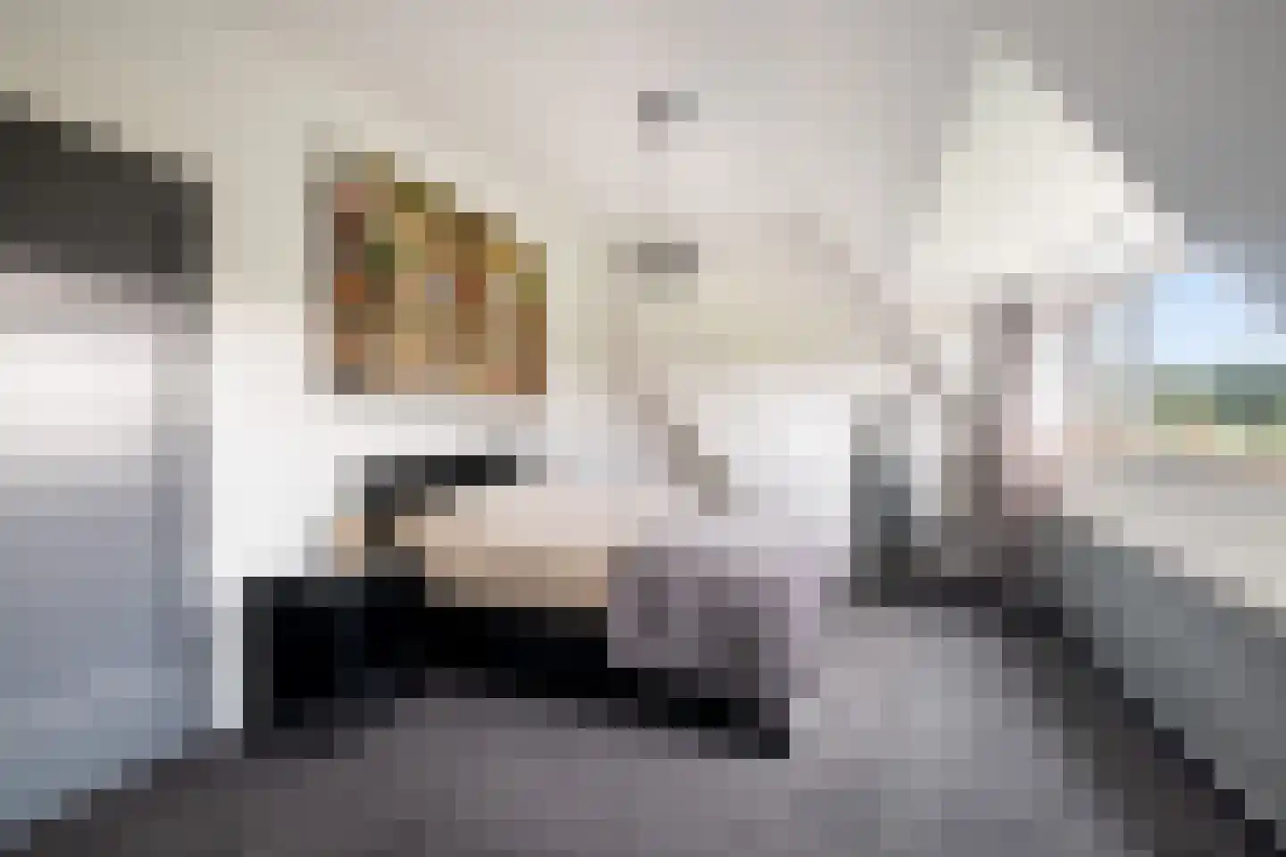 Thierenskade 118 Rijswijk thumbnail 33