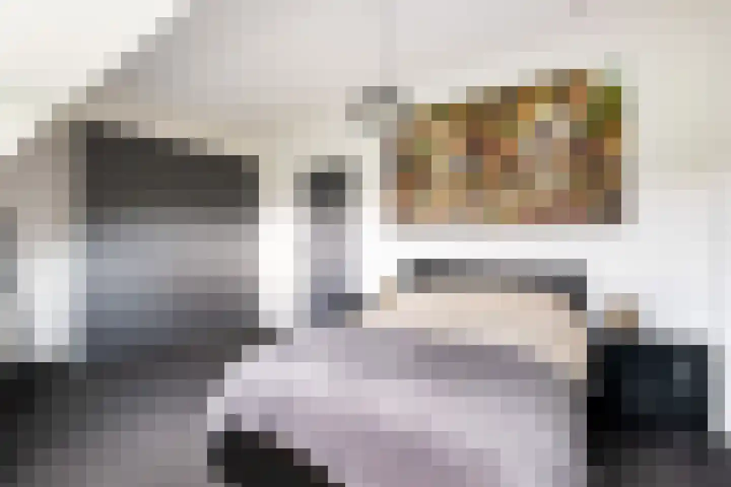 Thierenskade 118 Rijswijk thumbnail 34