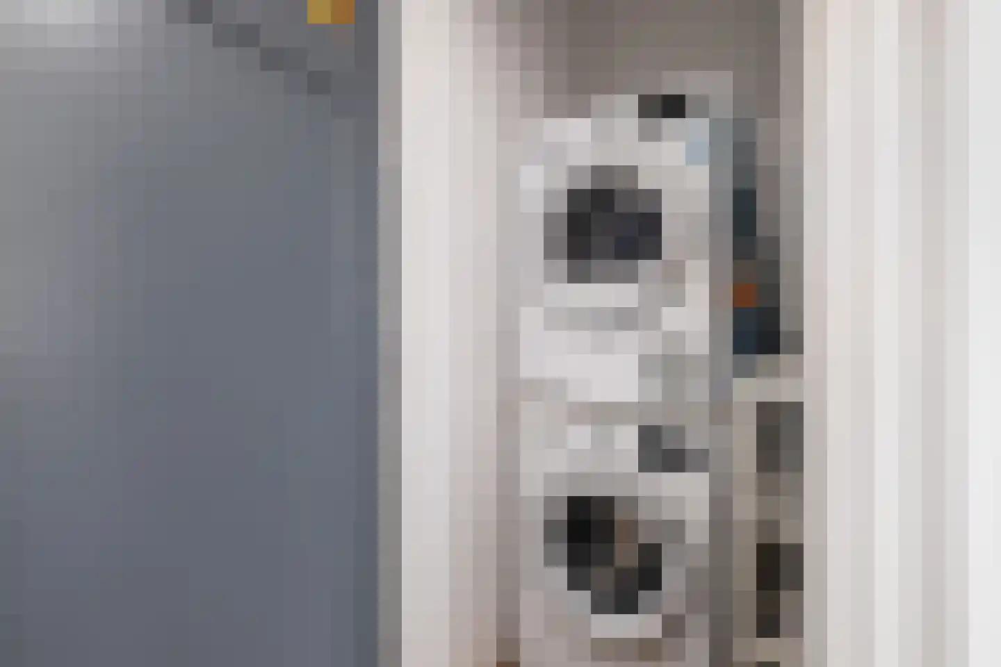 Thierenskade 118 Rijswijk thumbnail 42