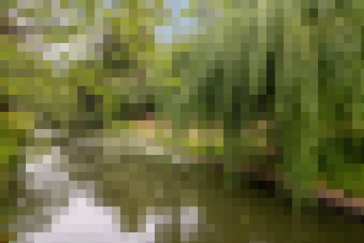 Thierenskade 118 Rijswijk thumbnail 51