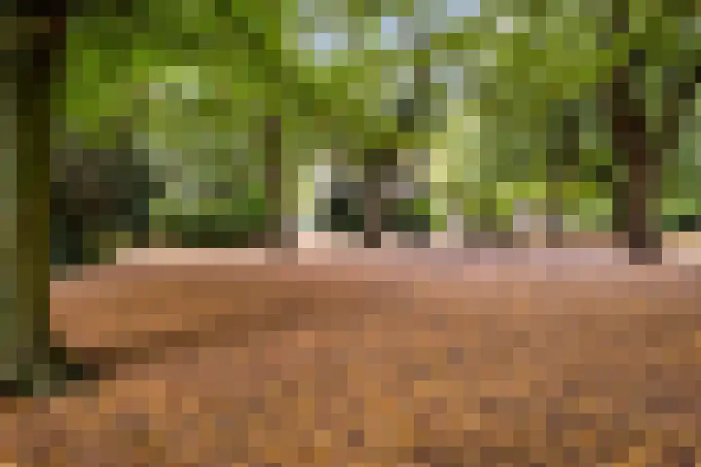 Thierenskade 118 Rijswijk thumbnail 52
