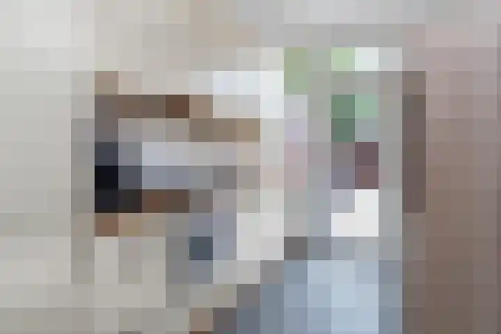Thierenskade 124 Rijswijk thumbnail 12