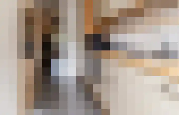 Thierenskade 124 Rijswijk thumbnail 15