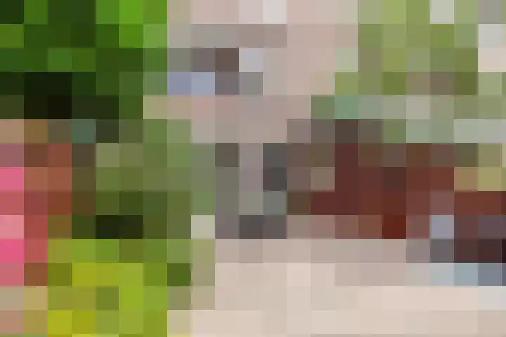 Thierenskade 124 Rijswijk thumbnail 17