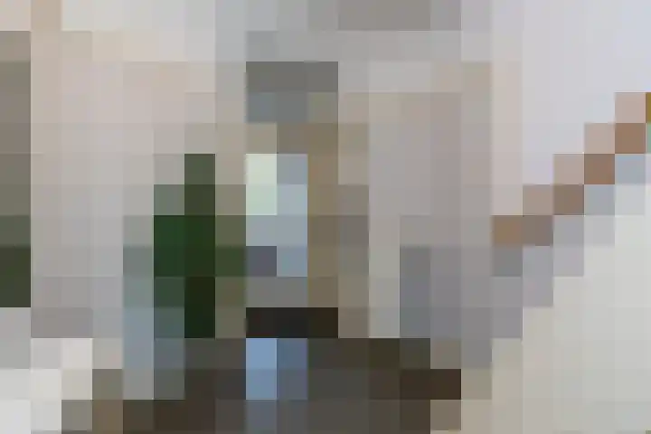 Thierenskade 124 Rijswijk thumbnail 18