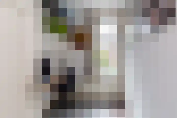 Thierenskade 124 Rijswijk thumbnail 26