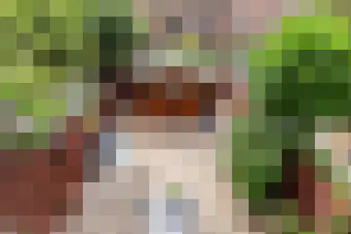 Thierenskade 124 Rijswijk thumbnail 29