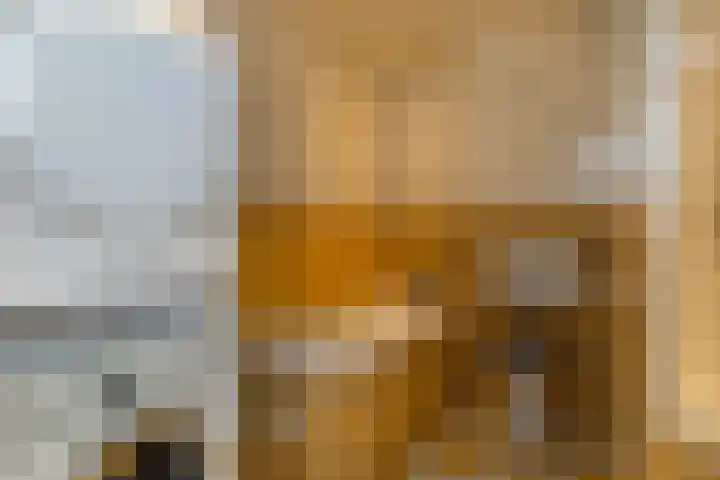 Thierenskade 124 Rijswijk thumbnail 30