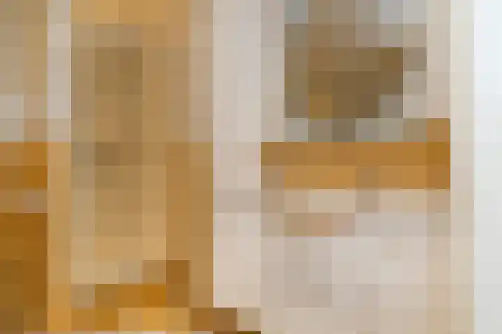 Thierenskade 124 Rijswijk thumbnail 31