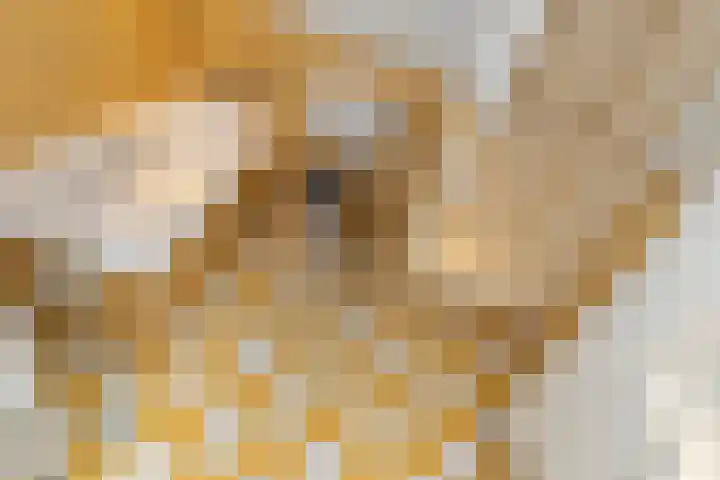 Thierenskade 124 Rijswijk thumbnail 32