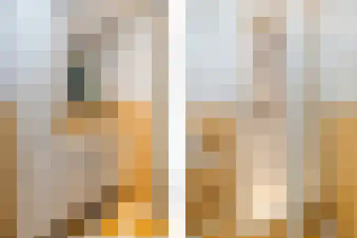 Thierenskade 124 Rijswijk thumbnail 33