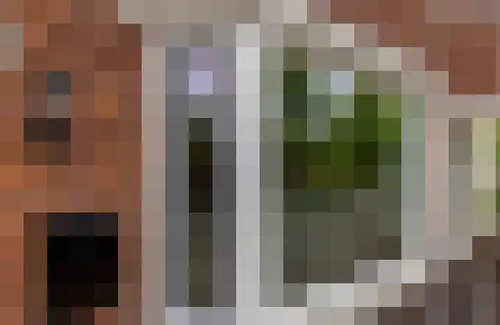 Thierenskade 124 Rijswijk thumbnail 34