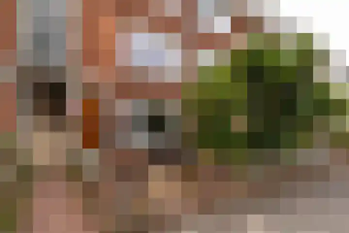 Thierenskade 124 Rijswijk thumbnail 36
