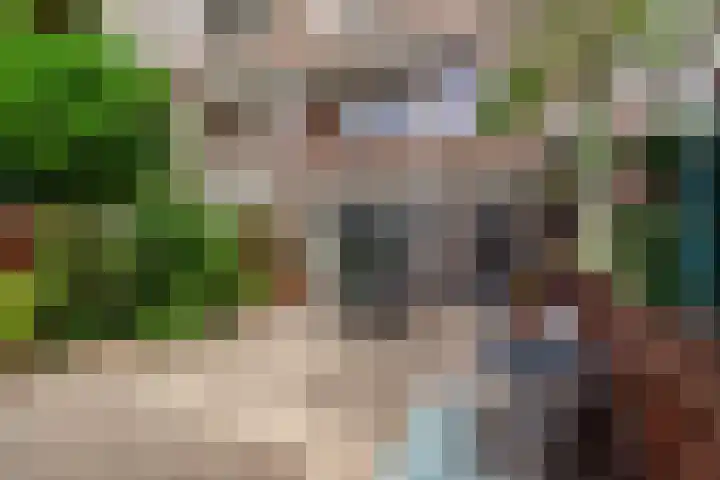 Thierenskade 124 Rijswijk thumbnail 4