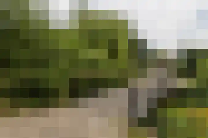 Thierenskade 124 Rijswijk thumbnail 40