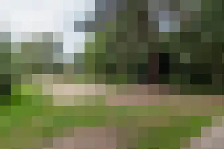 Thierenskade 124 Rijswijk thumbnail 41