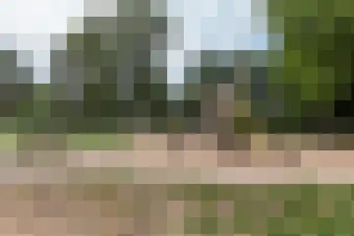 Thierenskade 124 Rijswijk thumbnail 42