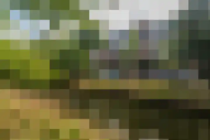 Thierenskade 124 Rijswijk thumbnail 47