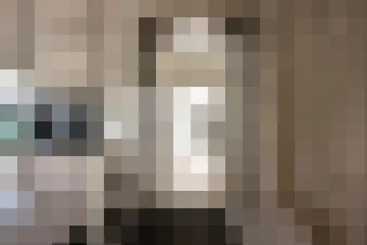 Thierenskade 152 Rijswijk thumbnail 11