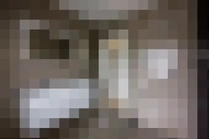 Thierenskade 152 Rijswijk thumbnail 15