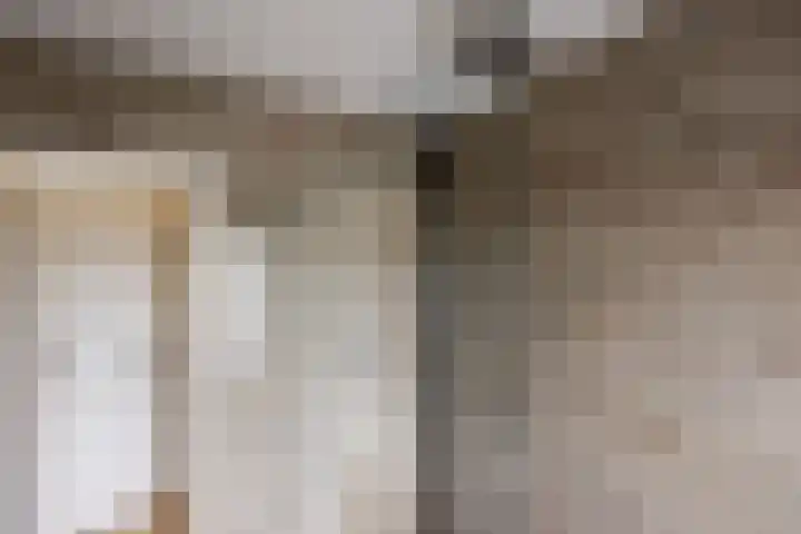 Thierenskade 152 Rijswijk thumbnail 17