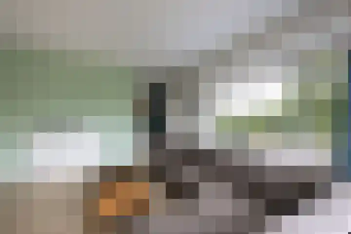 Thierenskade 152 Rijswijk thumbnail 25