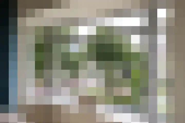 Thierenskade 152 Rijswijk thumbnail 26