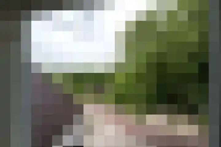 Thierenskade 152 Rijswijk thumbnail 34