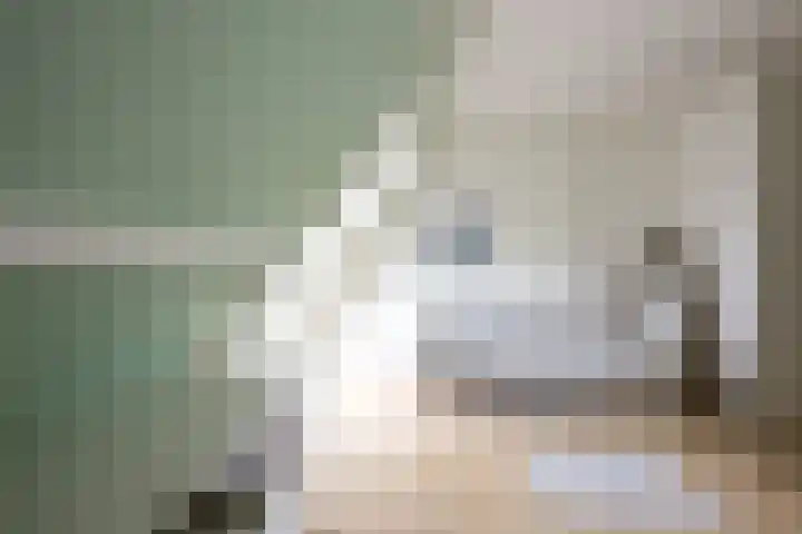 Thierenskade 152 Rijswijk thumbnail 36