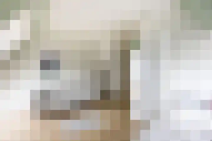 Thierenskade 152 Rijswijk thumbnail 37