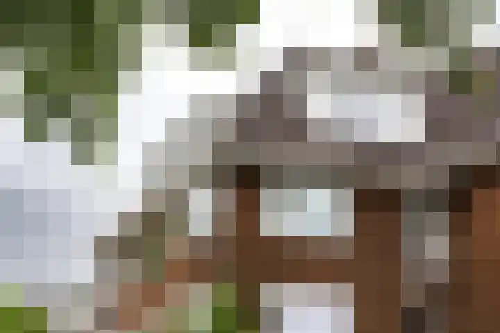 Thierenskade 152 Rijswijk thumbnail 45
