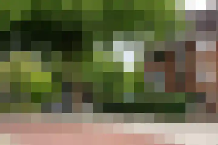 Thierenskade 152 Rijswijk thumbnail 46