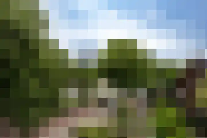 Thierenskade 152 Rijswijk thumbnail 5