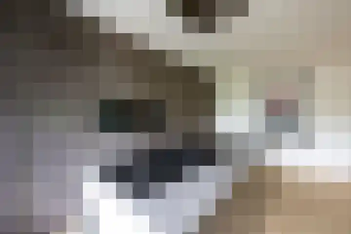 Thierenskade 152 Rijswijk thumbnail 9