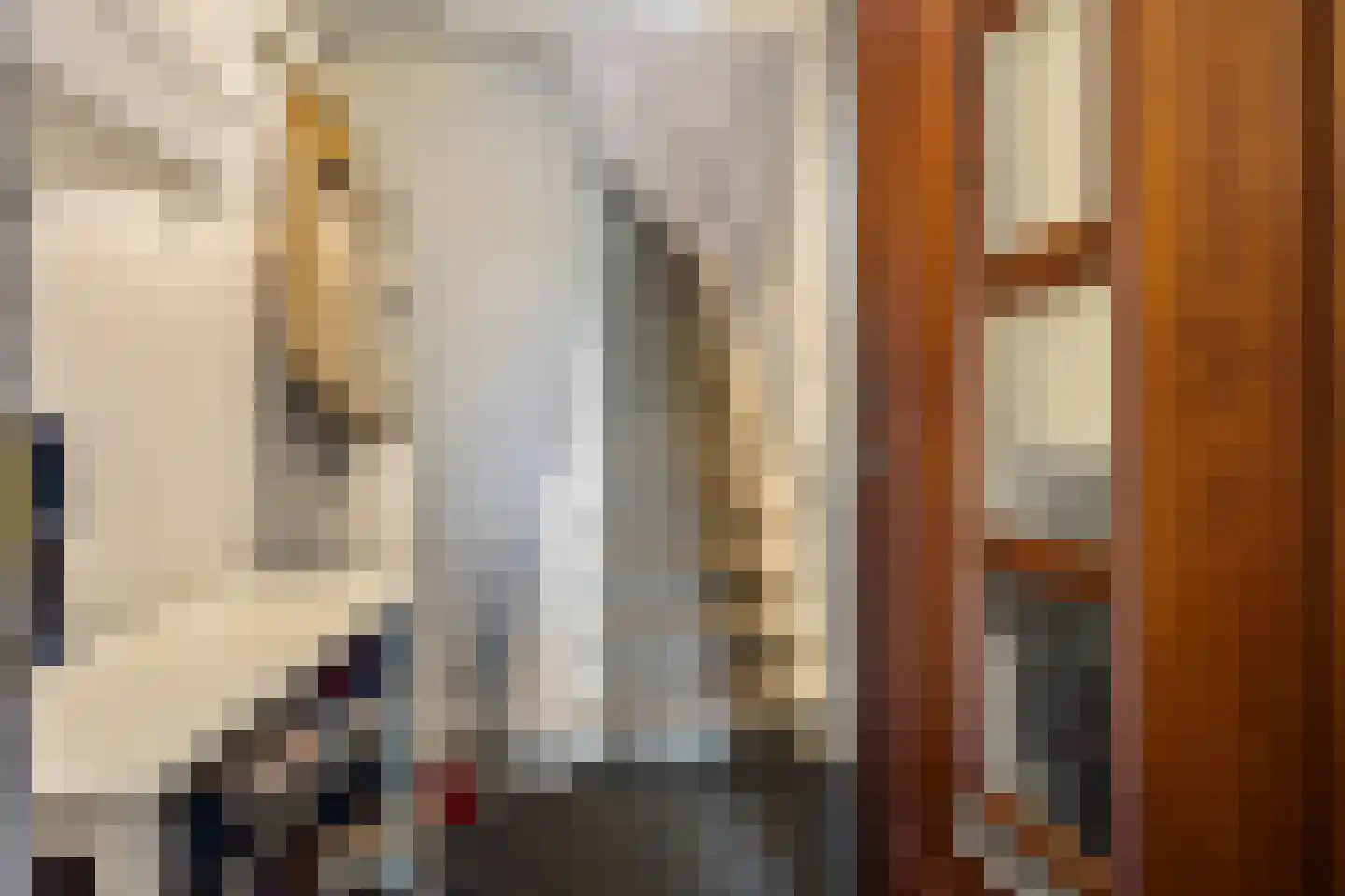 Thierenskade 96 Rijswijk thumbnail 48