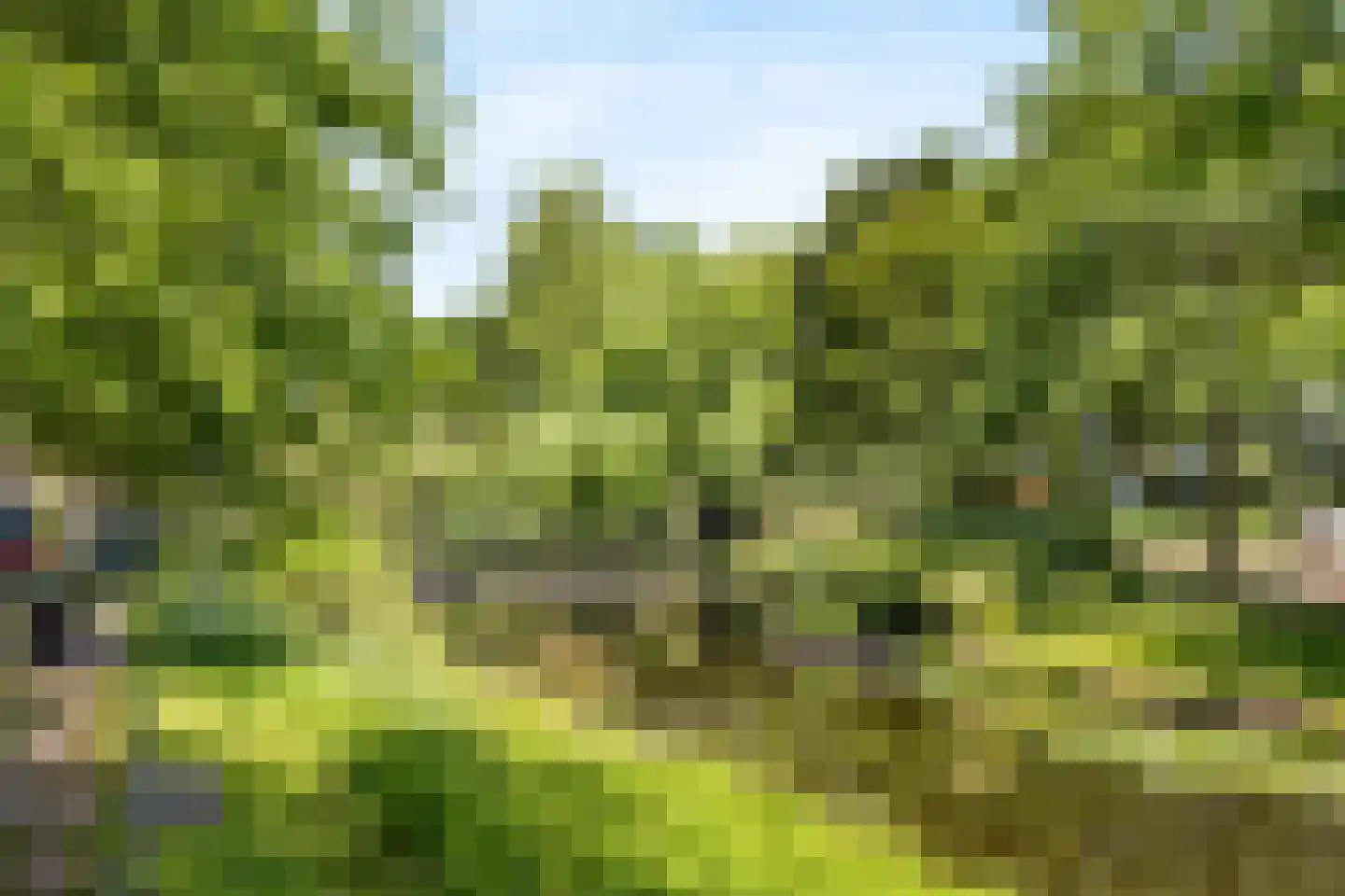 Thierenskade 96 Rijswijk thumbnail 55