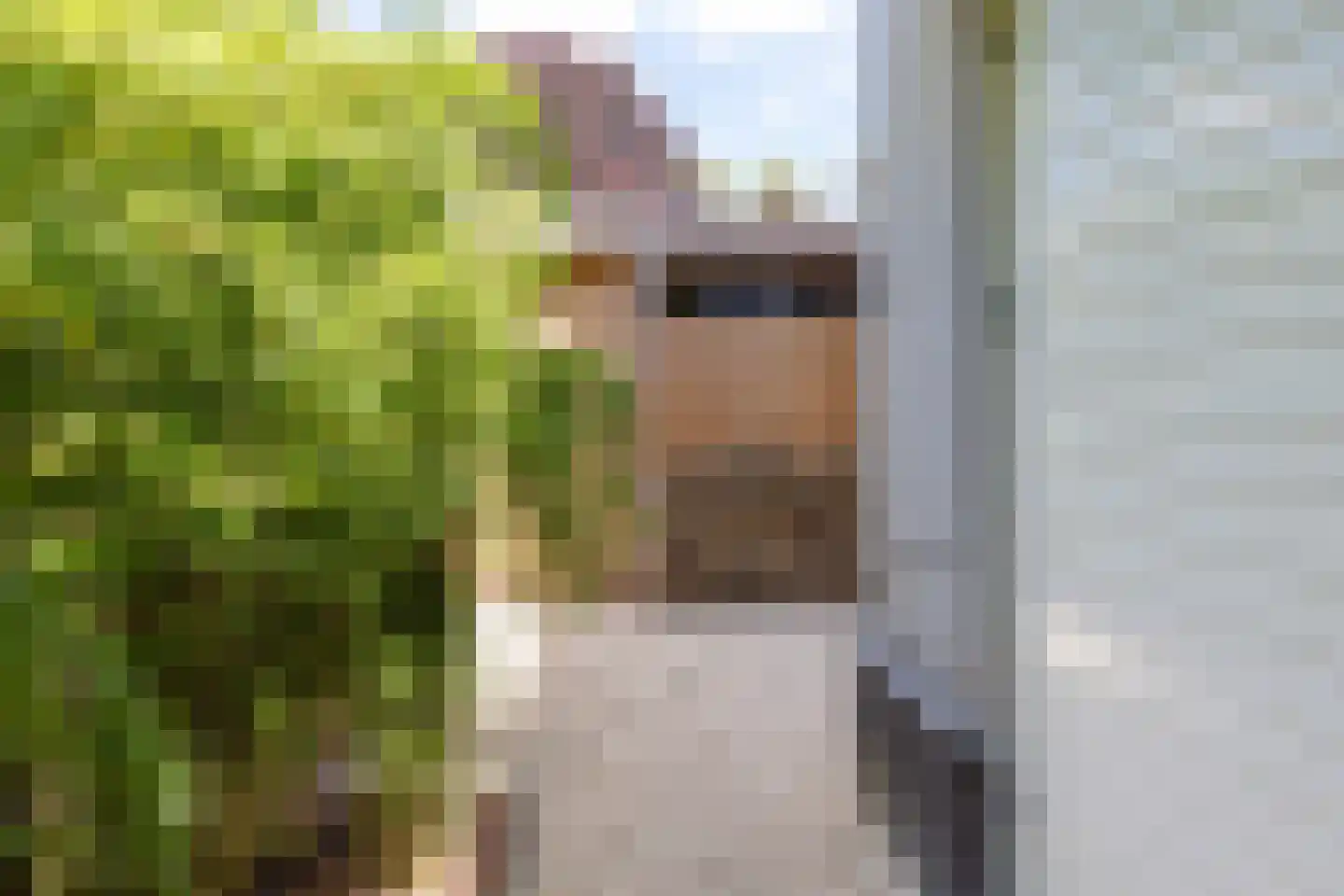 Thierensweg 30 A Naarden thumbnail 29