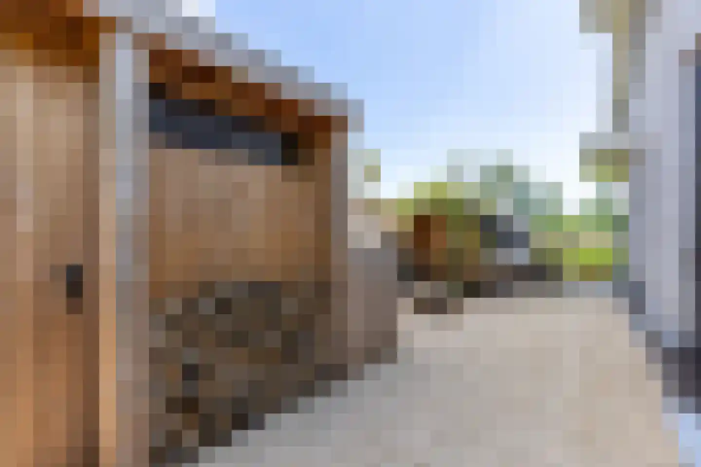 Thierensweg 30 A Naarden thumbnail 30