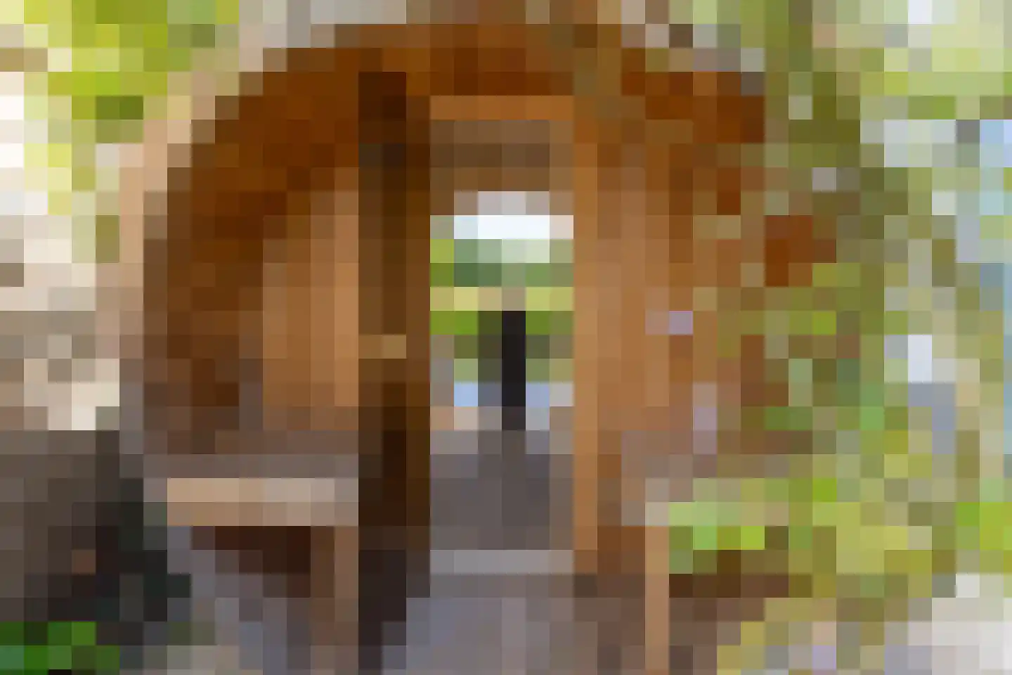 Thierensweg 30 A Naarden thumbnail 32