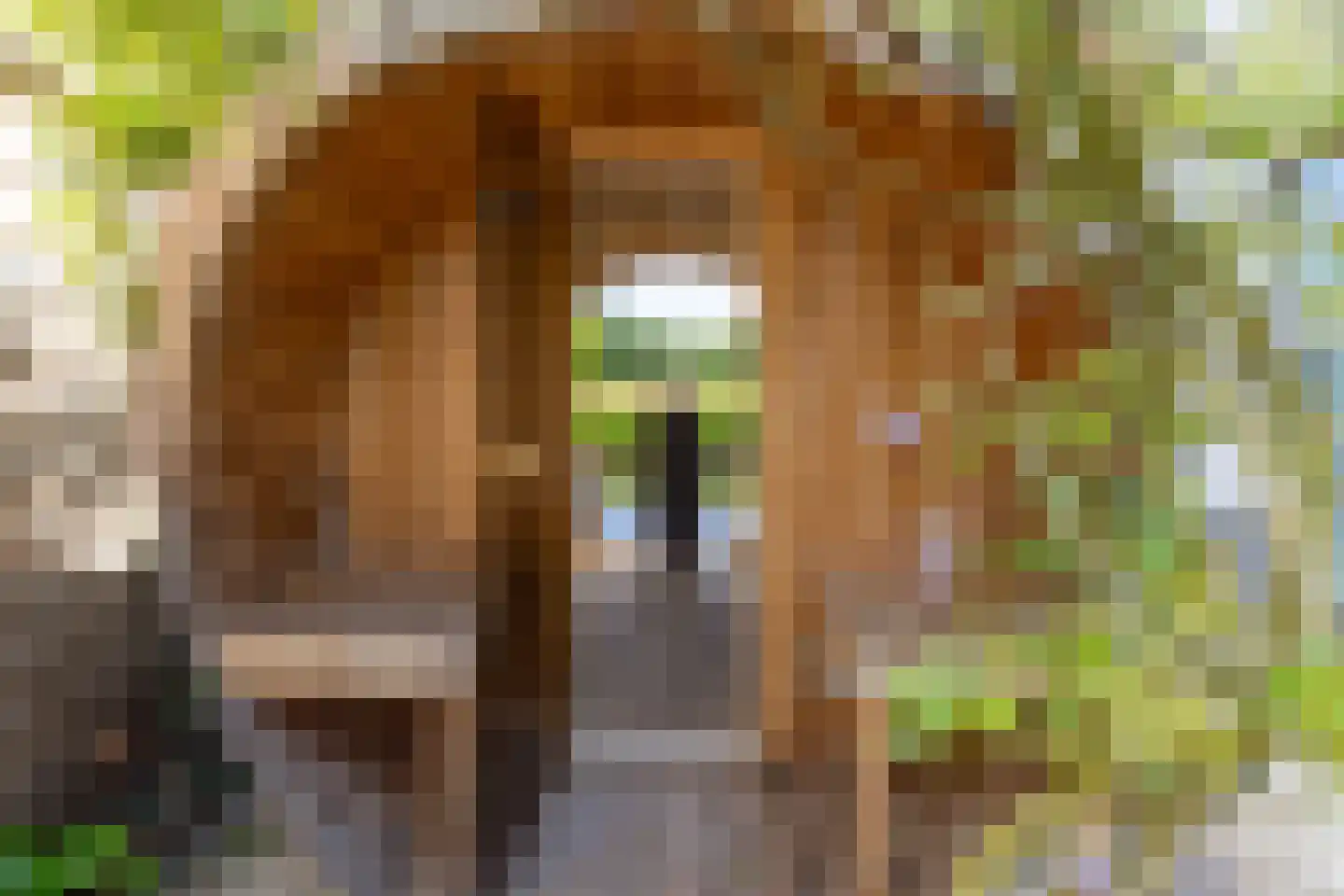 Thierensweg 30 A Naarden thumbnail 32