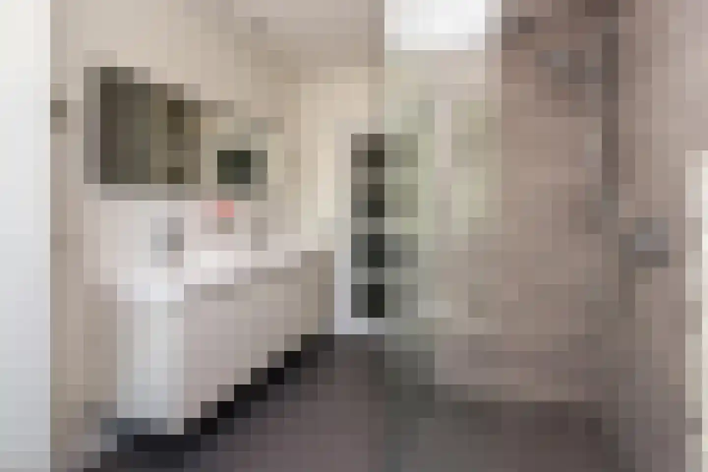 Thierensweg 7 Naarden thumbnail 17