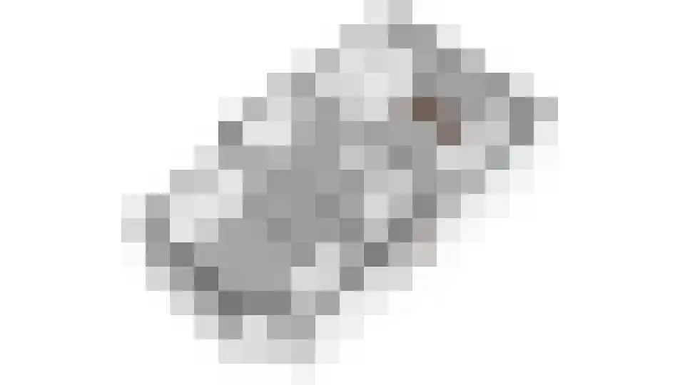 Thierensweg 7 Naarden thumbnail 36