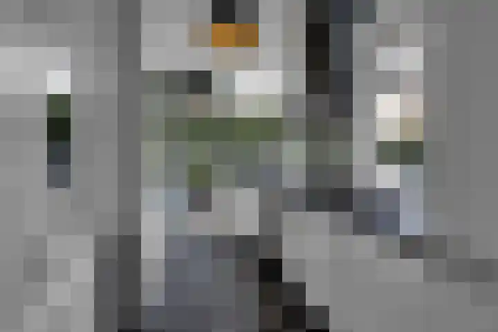 Thierensweg 8 Naarden thumbnail 12