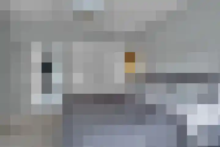 Thierensweg 8 Naarden thumbnail 18