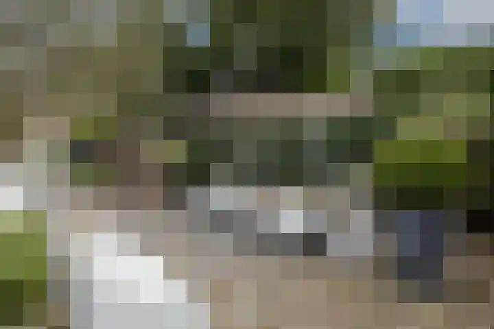 Thierensweg 8 Naarden thumbnail 25