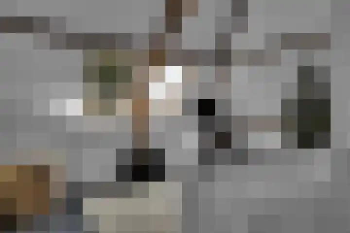 Thierensweg 8 Naarden thumbnail 27