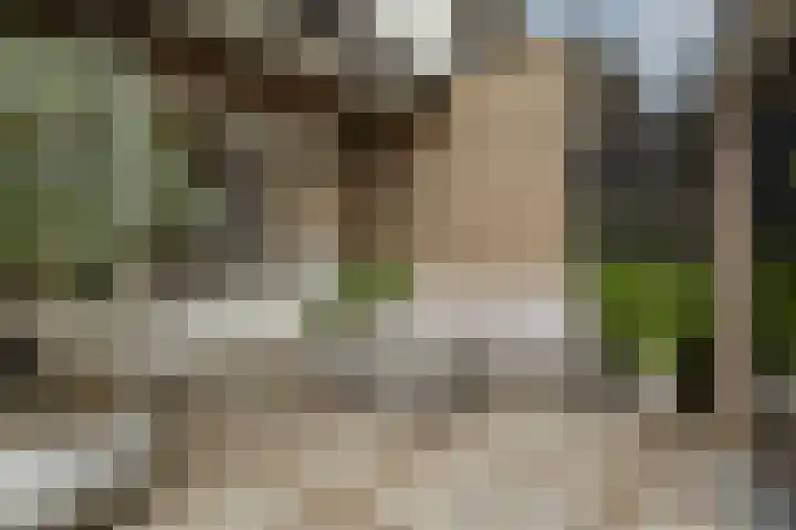 Thierensweg 8 Naarden thumbnail 34