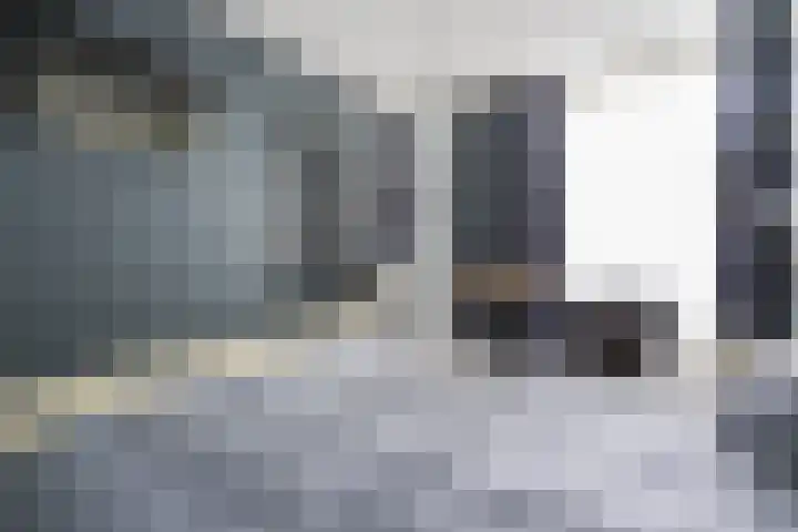 Thieu Gielenstraat 11 Nederweert thumbnail 21