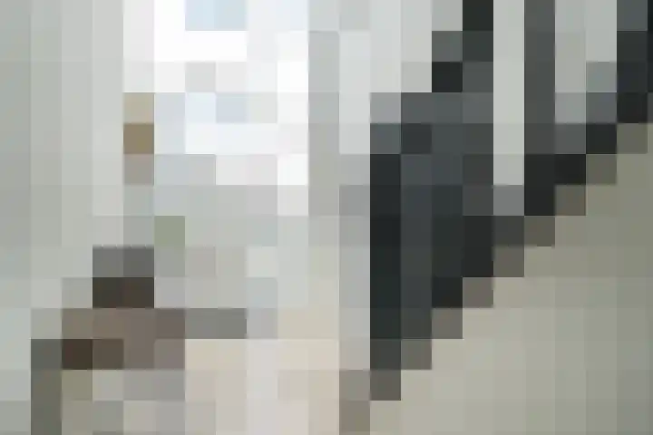 Thieu Gielenstraat 11 Nederweert thumbnail 26