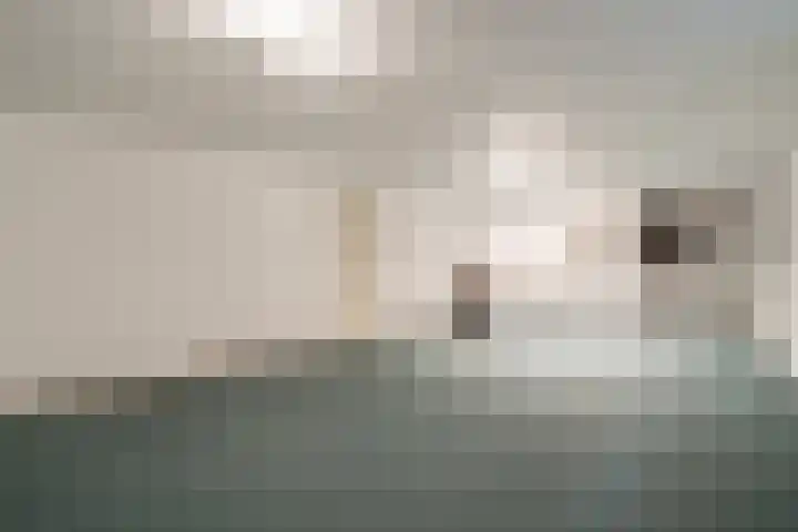 Thieu Gielenstraat 11 Nederweert thumbnail 43